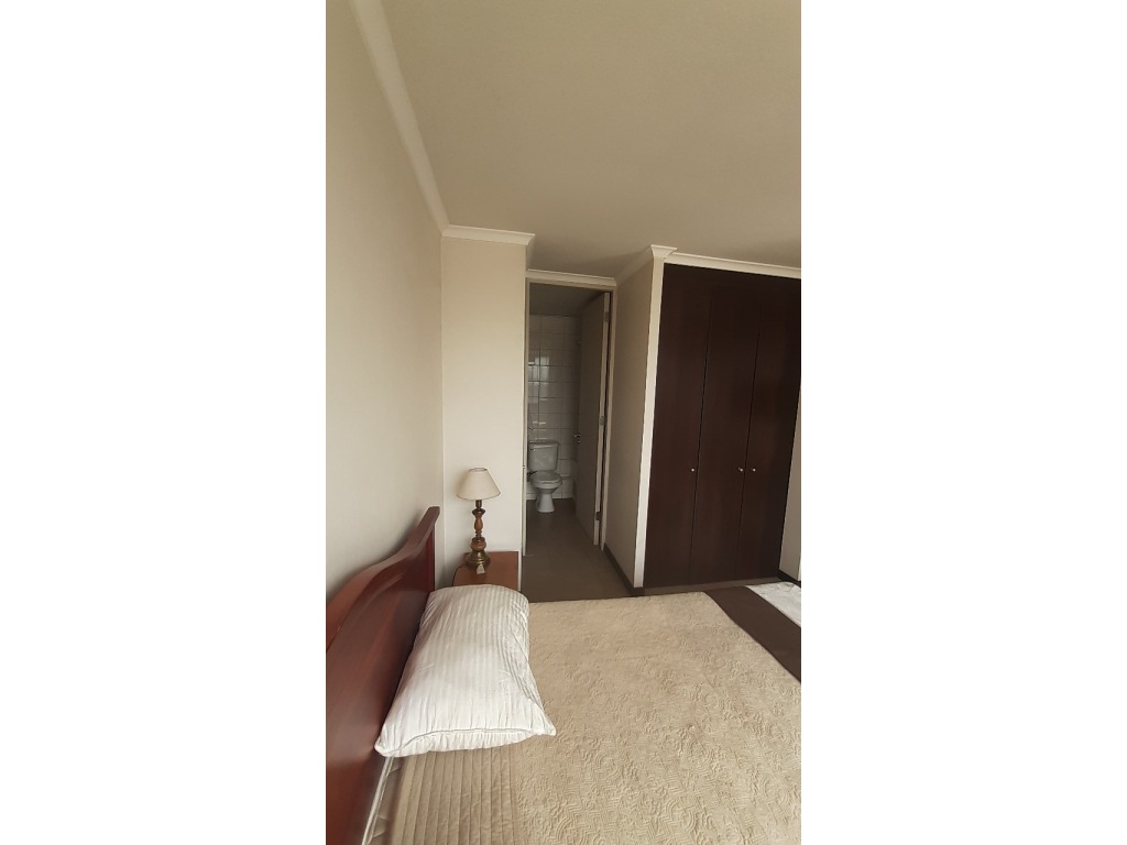 SE VENDE IMPECABLE DEPTO DE 1D Y 1B CON BODEGA EN SAN IGNACIO, SANTIAGO CENTRO
