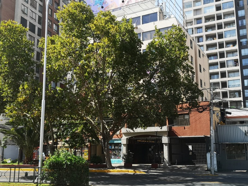 OFICINA EN VENTA