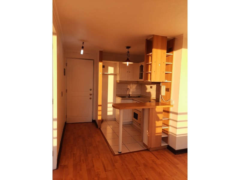 SE VENDE IMPECABLE DEPTO DE 1D Y 1B EN SAN ISIDRO,SANTIAGO CENTRO
