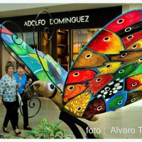 ARTE INMOBILIARIO EN FORMATOS  PEQUEÑOS  Y DE GRAN ESCALA.